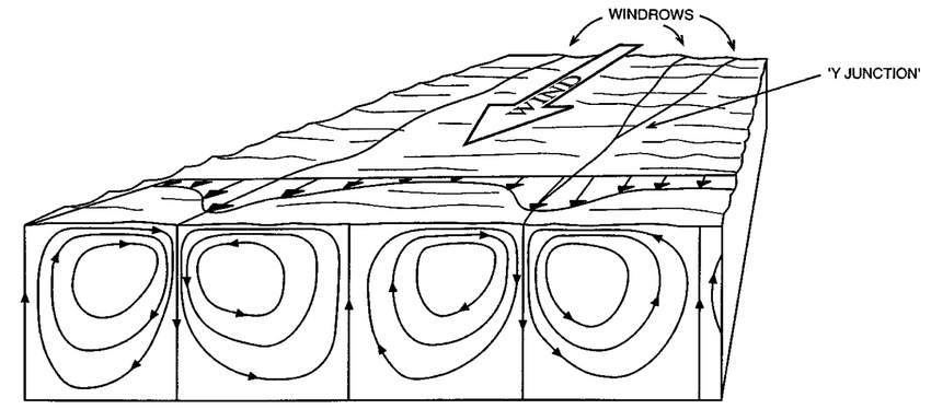_images/langmuir.png